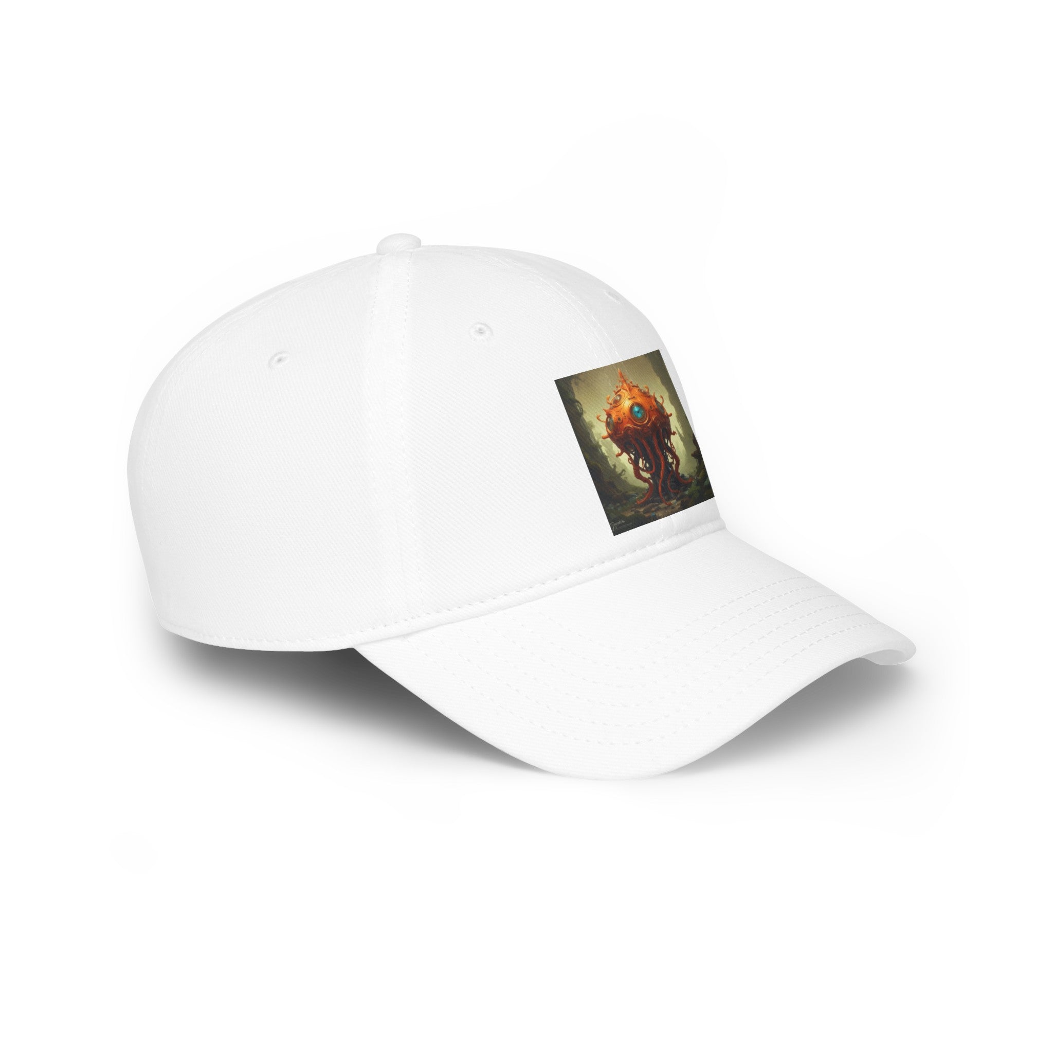 Low Profile Baseball Cap pirate art jake cloud canadian